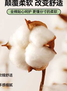 被套单件纯棉宿舍1002025新款被单人加厚单独被罩150x200x230