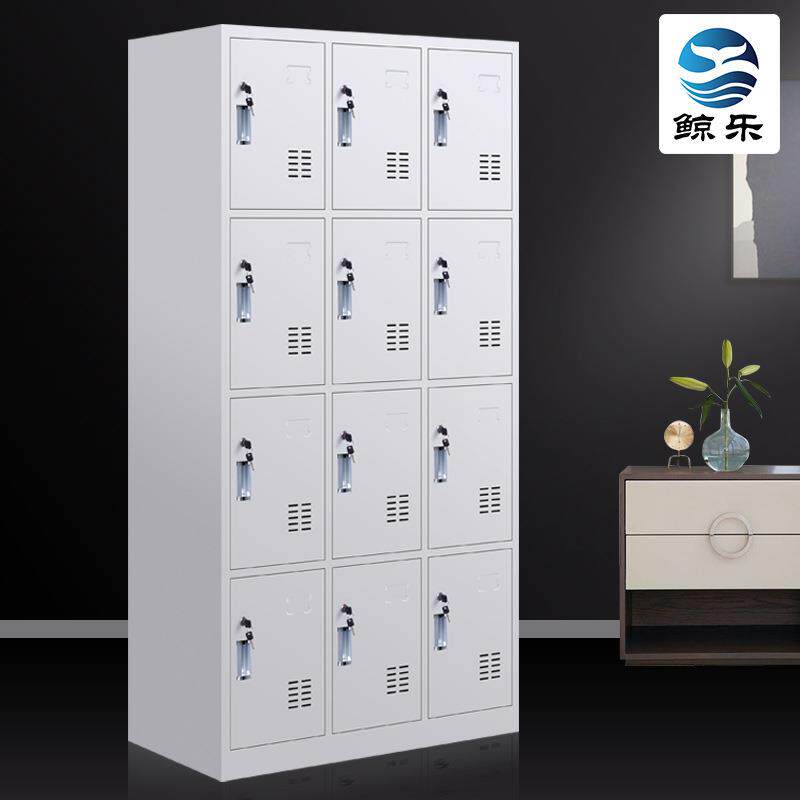 十二门更衣柜铁皮柜12门更衣柜钢制带锁储物柜员工宿舍柜