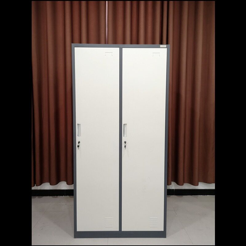 河南厂家批发二门更衣柜套色储物柜员工换衣柜健身房衣柜浴室柜
