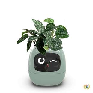 ®严选人工智能AI宠物花盆种植机器人植物护理指南时间温度显示花
