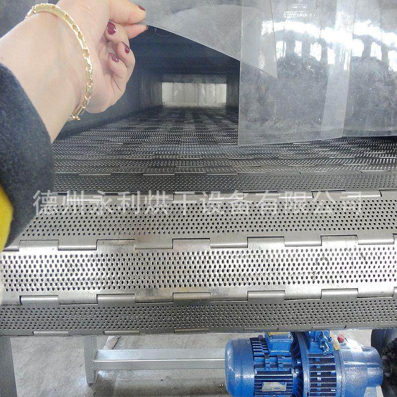 勇利全不锈钢食品烘干机 小型橘皮干燥设备 橙皮带式干燥机加工