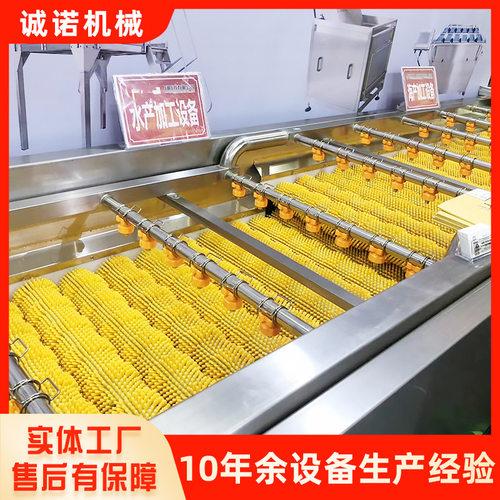 叶类蔬菜清洗机设备果蔬清洗设备白菜胡萝卜高压喷淋清洗机
