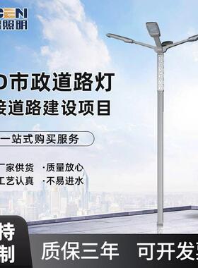 提供LED市电路灯3米6米8米户外灯杆市电道路照明路灯可定制