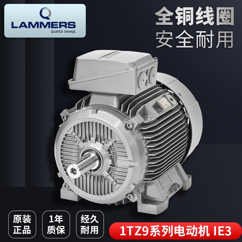 德国LAMMERS三相异步感应电动机1TZ9503系列18.5KW1TZ9系列