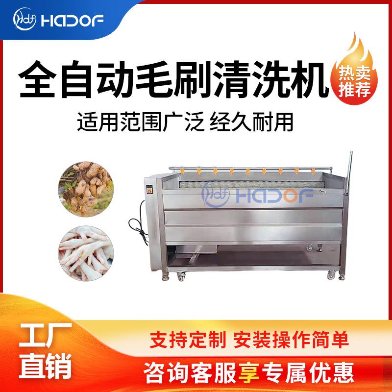 生蚝毛辊清洗机全自动小龙虾毛刷去泥机海鲜海螺清洗加工流水线