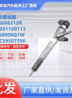 A2C59507596喷油器166006212RH82011001131660000Q1W