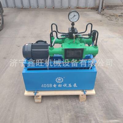 鑫旺高压柱塞泵PPR水管打压机管道打压泵4dsy-100公斤电动试压泵