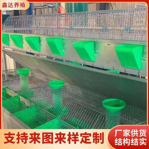 自动免清粪新型欧式兔笼畜牧养殖用兔笼24位子母同笼