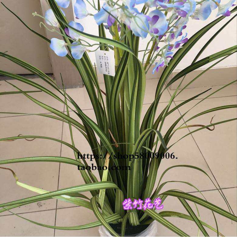 环保仿真孔雀兰水草/绿植水生套装田园假树绿植盆栽狗尾草芦苇草