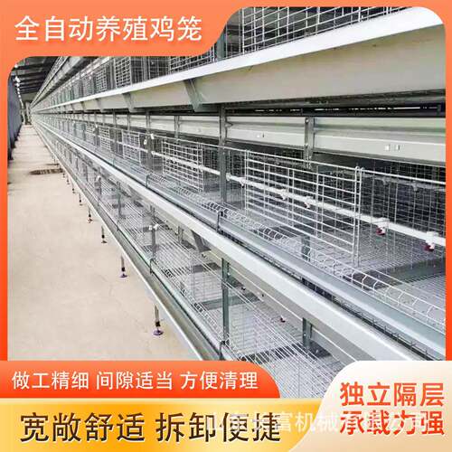 养殖场层叠式H型鸡笼具多层阶梯式蛋鸡笼加粗养殖笼具框架蛋鸡笼