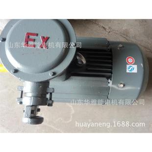 YZPE225M 30电机替代防腐电机YZP电机TA干燥型带空间加热器230V
