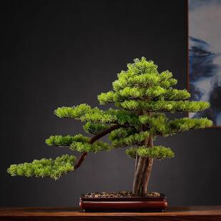 新中式迎客松盆景客厅假松树摆件室内绿植装饰仿真树盆栽造景植物
