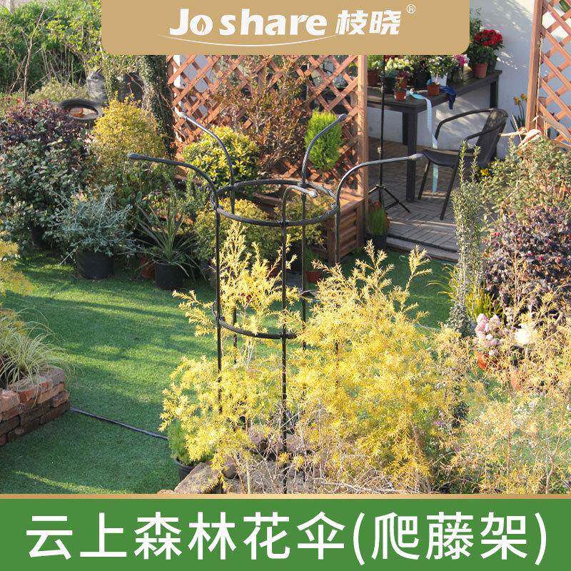枝晓云上森林花伞爬藤架园艺爬藤月季花架插接式莲花攀爬支架