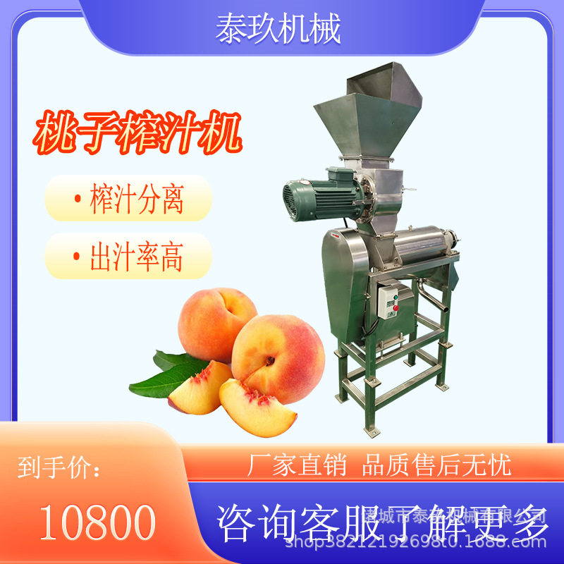 桃子破碎榨汁机破碎果蔬打浆机椰子破碎挤汁机蜜瓜去核榨汁设备