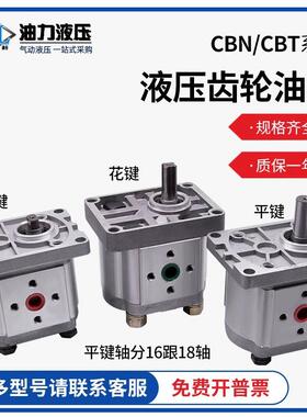 液压齿轮泵CBW/CBT/CBN-E/F304液压系统电机油泵
