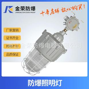 BAD82隔爆型防爆灯仓库停车场用LED节能灯户外防水路灯