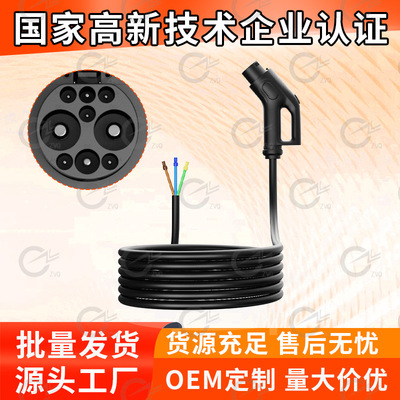 新能源汽车充电桩枪线国标直流枪线GBT Charging Cable DC