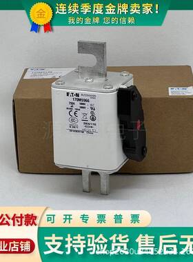 巴斯曼熔断器170M5966/5967/5968/5969/5970/5971/5972/5973/5974