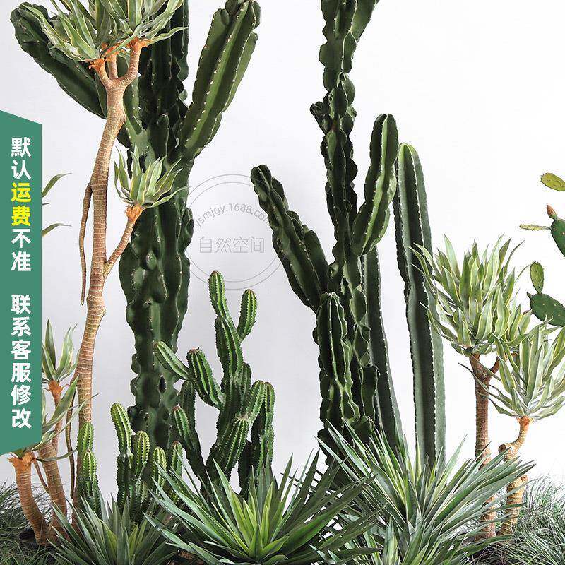 超大天伦柱沙生植物龙舌兰大型沙生景观造景仿真仙人掌仙人柱