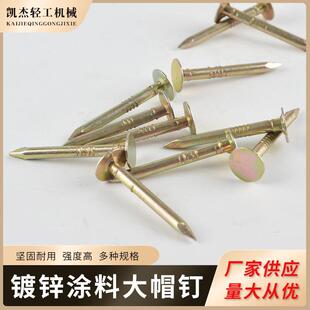 大帽钉别墅屋顶使用4*25钉镀锌涂料大帽钉船帆钉油毡钉