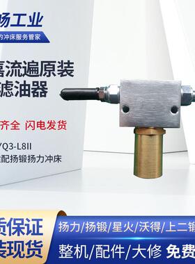 浙江流遍冲床滤油器油脂过滤器LYQ3-L8II扬力扬锻油嘴接头高压软