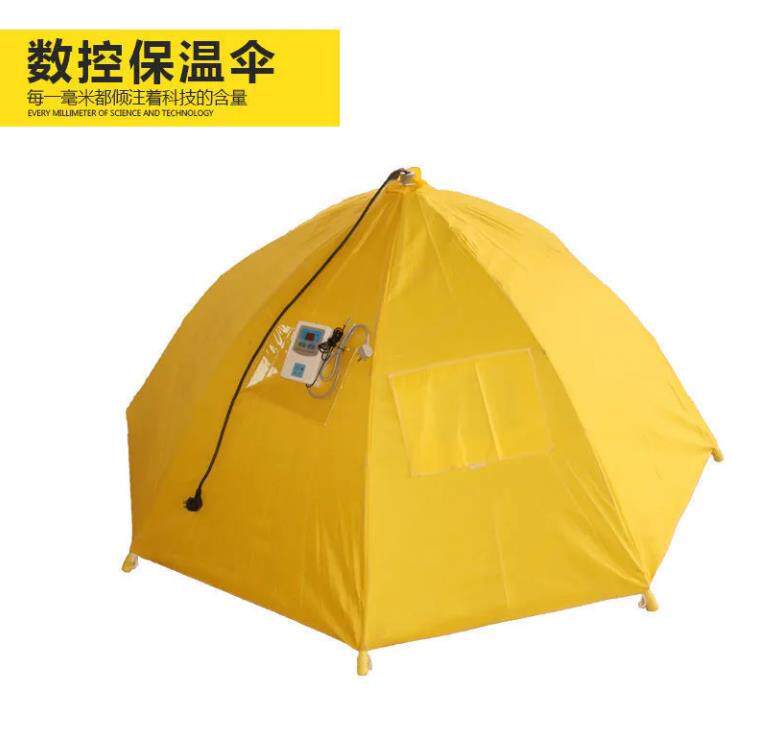 育雏伞育雏器保温箱小鸡脱温设备自动控温伞自动保温伞养鸡设备