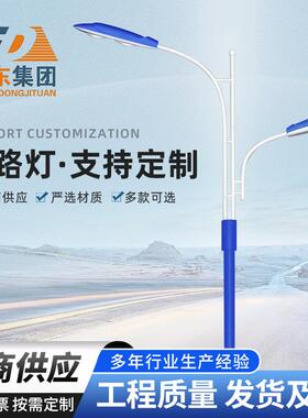 LED市电路灯双头路灯新农村小区户外道路灯6米7米8米双臂高低臂