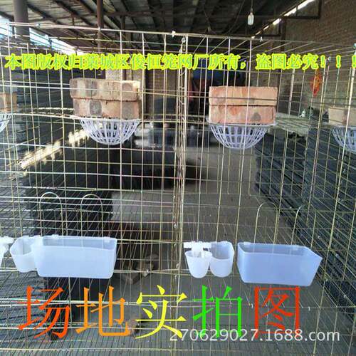 本厂可以来图制作养殖笼具鸡笼鸽笼兔笼