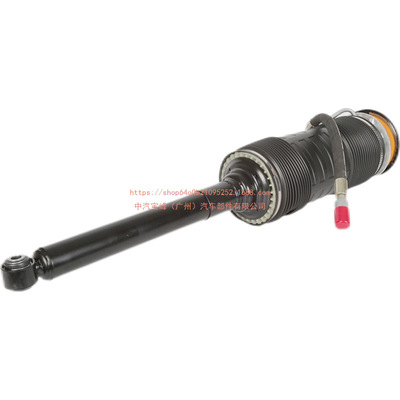 Hydraulic shocks 2213206413 2213200413 Hydraupneumatic Shock