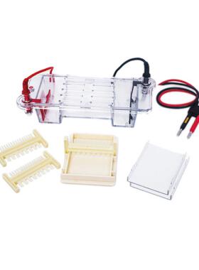 龙方星钰LF-31CS双层小型电泳槽27×12×11cm凝胶面积