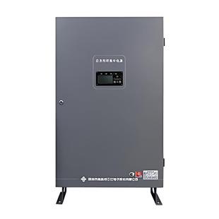 落地式 泛海三江SJ P1000B应急照明集中电源 1KVA