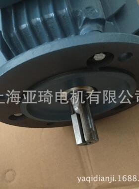 QABP100L4B-3KW-4-B5-IC416立式 变频电机