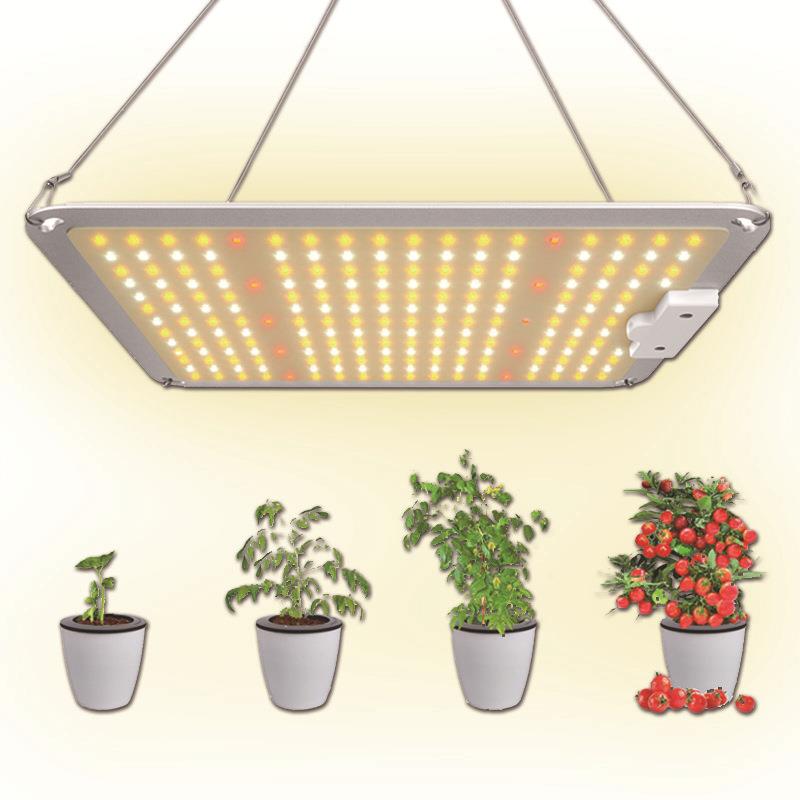 LED植物生长灯 全光谱多肉补光灯600W蔬菜育苗培育量子板植物灯