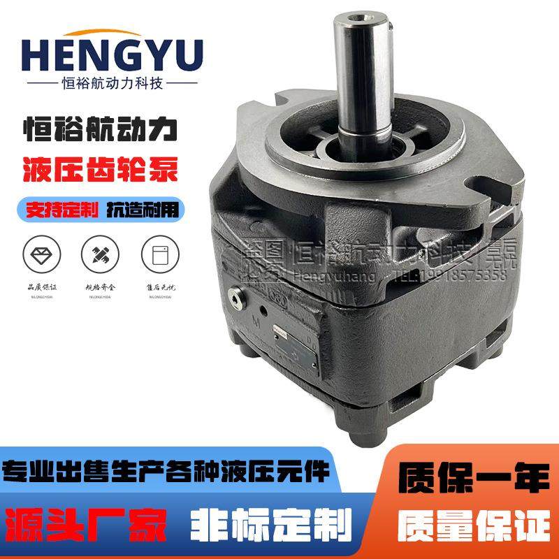 力士乐Rexroth齿轮泵PGH5-21/100RE11VU2PGH4PGH3液压油泵总成