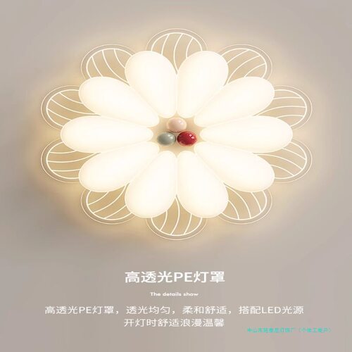 新护眼主卧室灯奶油风花朵花形网红吸顶灯简约现代灯具浪漫