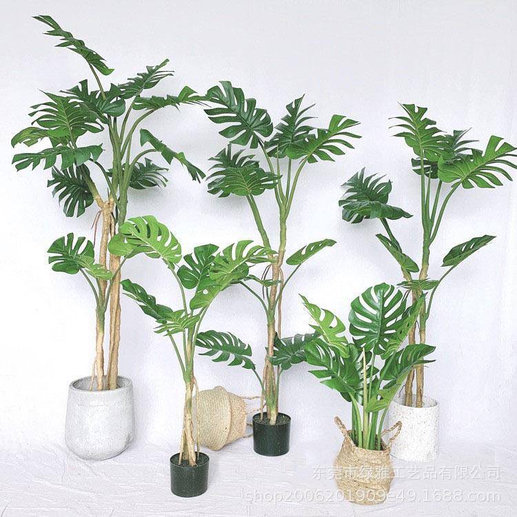 仿真龟背绿植盆栽热带雨林仿真植物家居室内装饰客厅盆栽假树