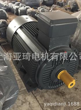 上海华滨YX3-355M2-2-250KW电动机|风机水泵加长轴电动机