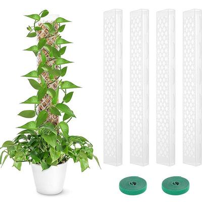 菱孔塑料苔藓杆可堆叠攀缘植物支撑架用于龟背竹植物的透明植物杆