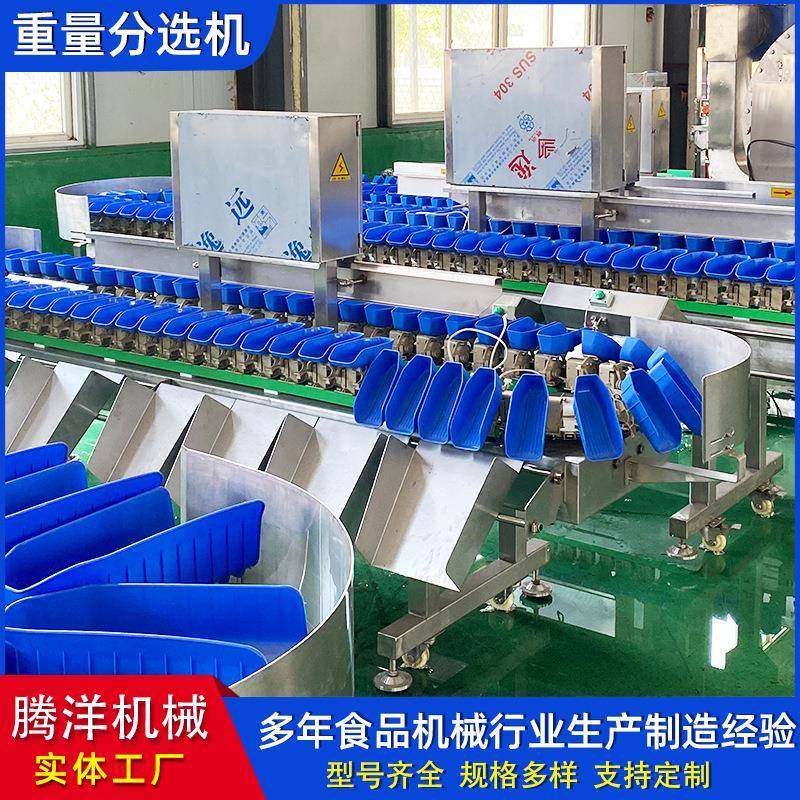 橙子重量分选机橘子尺寸分级设备百香果称重分拣机,农用物资,其他肥料,淘宝优惠券,粉丝福利购,淘宝优惠卷