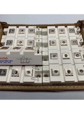 X2G75SD12P1 X2G50SD12P1 X2G100SD12P1 X2G100SD12P3