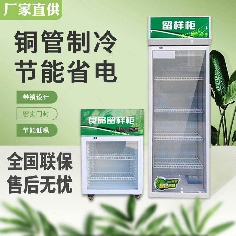 冷藏保鲜幼儿园食品留样柜带锁餐厅食堂家用小冰箱商用展示留样柜