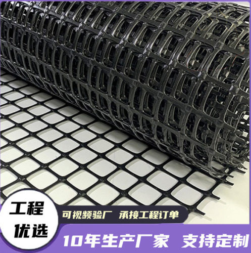 双向拉伸塑料土工格栅厂家路基双向土工格栅双向拉伸土工格栅