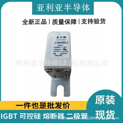 现货170M4813170M4814170M4824交流陶瓷熔断器直流快速熔断器