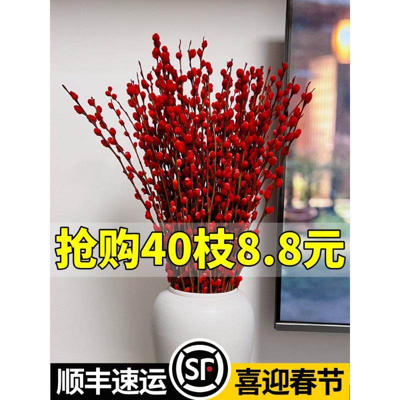银柳真花鲜枝抱抱福桶喜庆年宵花卉盆栽室内红色干花水培植物雪柳