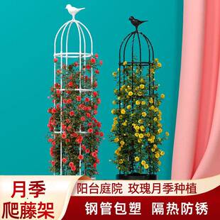 月季花架爬藤架蔷薇阳台攀爬架子花盆植物藤架花园花柱园艺花支架