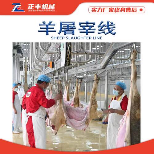 肥羊宰杀自动化生产线杀羊整套机器宰羊工艺流程羊屠宰流水线