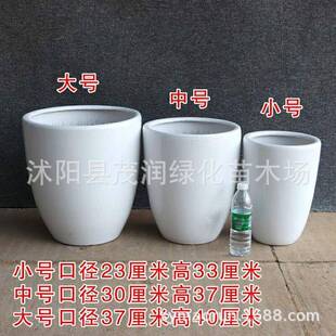 北欧风格大号陶瓷花盆圆形室内绿植盆栽客厅落地花盆发财树散尾葵