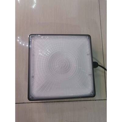 新款户外LED天花灯油站灯隧道灯天棚工矿灯50W100WLED天花灯工厂