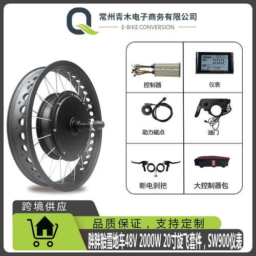 胖胖胎雪地车改装电动助力套件48V2000W20寸后驱旋飞SW900仪表