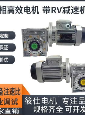 RV4050637590110130150B5B14减速机涡轮蜗杆齿轮箱减速器